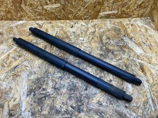 амортизатор крышки багажника (3-5 двери) BMW X5 E70 2007, 3.0 л., дизель, АКПП, серебристый, внедорожник 5 дв., правый руль, 7177283, 51247177283, 51247294199, 7294199