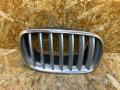 решетка радиатора BMW X5 E70 2007, 3.0 л., дизель, АКПП, серебристый, внедорожник 5 дв., правый руль, 7171396, 7157688, 51137157688, 5113O7171396 - фото №2