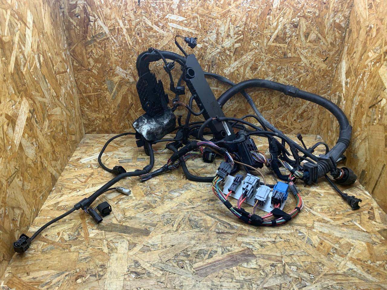 проводка двигателя BMW X5 E70 2007, 3.0 л., M57 306 D3, дизель, АКПП, серебристый, внедорожник 5 дв., полный привод, правый руль, 7806081 - фото №1