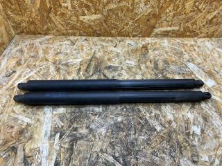 амортизатор крышки багажника (3-5 двери) BMW X5 E70 2008, 3.0 л., дизель, АКПП, внедорожник 5 дв., полный привод, правый руль, 7177283, 51247177283, 51247294199, 7294199