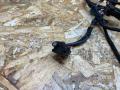дверная проводка BMW 3 серия F30/F31/F34 F30 2014, 2.0 л., дизель, АКПП, черный, седан, полный привод, правый руль, 9313637 - фото №4