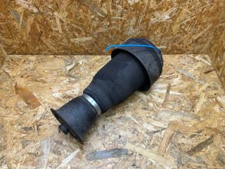 пневмоподушка BMW X5 E70 2008, 3.0 л., дизель, АКПП, 354 titan-silber, внедорожник 5 дв., полный привод, правый руль, 796115280