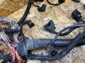 проводка двигателя BMW 5 серия F07/F10/F11 F11 2012, 2.5 л., дизель, АКПП, универсал, полный привод, 8508652 - фото №6