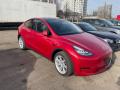 часть кузова (вырезанный элемент) Tesla Model Y 1 поколение 2023, электро, ppmr, полный привод - фото №4