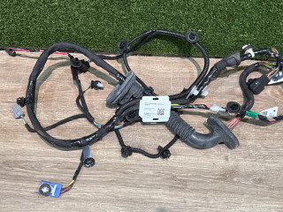 дверная проводка Tesla Model 3 2 поколение 2024, pn01, 189732202, 189732202B