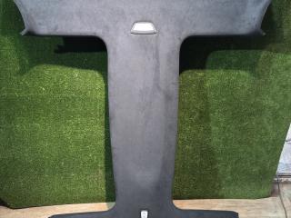потолок Tesla Model X 1 поколение 2019, ppsw, 105392106J