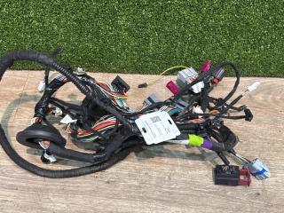 дверная проводка Tesla Model S 1 поколение [рестайлинг] 2017, pmng, 100441901, 100441900U