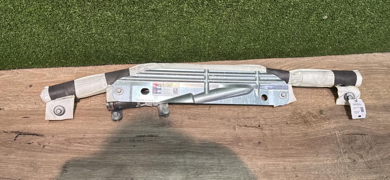 подушка безопасности боковая (шторка) Tesla Model X 1 поколение 2019, pmng, 103676000 - фото №1