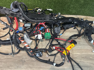 проводка подкапотная Tesla Model 3 2 поколение 2024, pn01, 189733011, 189733011B