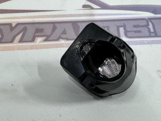 накладка на порог BMW X5 G05 [рестайлинг] G05 2023, 3.0 л., B58B30, бензин, АКПП, белый sa96, внедорожник 5 дв., полный привод, 96027346, 7946663