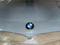 капот BMW X6 G06 [рестайлинг] 2023, 3.0 л., B58B30, бензин, АКПП, brooklyn grey, внедорожник 5 дв., полный привод - фото №3