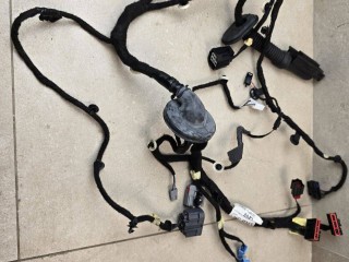 дверная проводка Land Rover Range Rover Evoque L551 2020, 2.0 л., бензин, АКПП, белый, внедорожник 5 дв., полный привод, правый руль, K8D214631