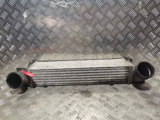 интеркулер BMW X5 E70 2008, M57 D30 (306D3), АКПП, черный, внедорожник 5 дв.