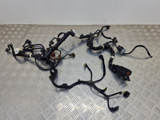 проводка двигателя Fiat Panda 3 поколение 2017, 1.3 л., JTD, дизель, МКПП, полный привод, 00552688840, M07600457