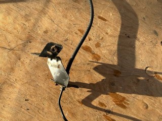 шланг тормозной Alfa Romeo 2017, 2.0 л., бензин, АКПП, серый, полный привод, 50532961