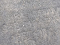 защита арок задняя правая (подкрылок) Porsche 2023, 2.0 л., бензин, АКПП, 95B810972G - фото №5