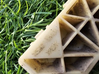 Крепление бампера переднего Infiniti EX 1 поколение 2010, 3.7 л., бензин, АКПП, серый, внедорожник 5 дв., полный привод, 852201BA0A