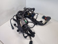 проводка двигателя Peugeot 3008 1 поколение 2010, 1.6 л., Ti, бензин, МКПП, передний привод, 760096080 - фото №2