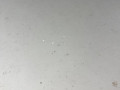 крышка багажника (дверь 3-5) Volkswagen Passat B7 2013, 1.8 л., TFSI, CDAA, бензин, серебро, передний привод, правый руль - фото №8