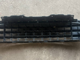 решетка радиатора Mini Countryman 1 поколение 2012, 1.6 л., N16 B16 A, бензин, 6МКПП, хетчбэк 5 дв.