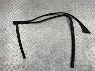 Уплотнитель стекла BMW 5 серия G30/G31 (2016 - 2020), 51337336963