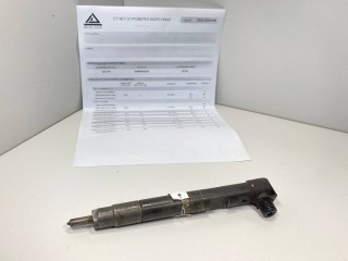 форсунка Mercedes-Benz Sprinter 2 поколение (W906) 2011, 2.2 л., CDi, дизель, МКПП, задний привод, A6510700587, EMBR00002D, 6510700587, IN0024