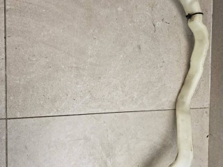 горловина бачка омывателя BMW 2016, бензин, АКПП, белый, задний привод, 7203270