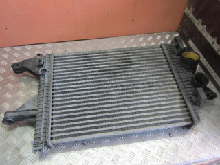 интеркулер Mercedes-Benz Vario W670 2002, A6685000500