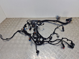 проводка двигателя Peugeot Partner 2 поколение (B9) [рестайлинг] 2015, 1.6 л., HDi, дизель, МКПП, передний привод, 22802902, 9804989980, 9804849980