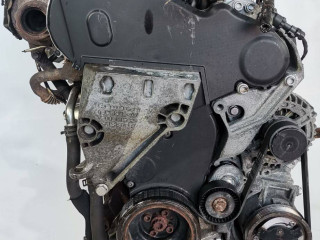 двигатель Skoda Fabia 2 поколение (5J) [рестайлинг] 2010, 1.6 л., CAYA, дизель, 5МКПП, хетчбэк 5 дв., CAY