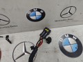 проводка BMW XM G09 2023, 4.4 л., бензин, c5y, полный привод, 5A43EC1, 5A43EB9 - фото №2