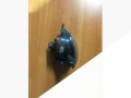 фара противотуманная левая Toyota Corolla 9 поколение (E120/E130) [рестайлинг] 2003, 27097700 - фото №3