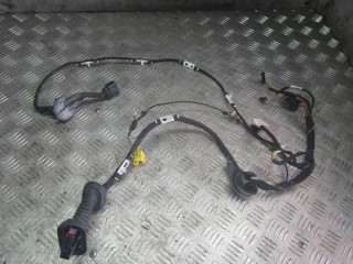 проводка Audi A6 4F/C6 2006, 4F1971029A
