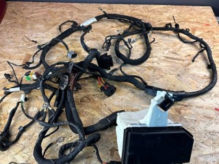 проводка двигателя Mercedes-Benz S-Класс W222 [рестайлинг] 2018, 2.9 л., OM 656.929, дизель, АКПП, седан, задний привод, правый руль, A0009824509, A0525453826, A2225409631, A2229980401