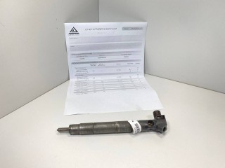 форсунка Mercedes-Benz Sprinter 2 поколение (W906) 2011, 2.2 л., CDi, дизель, МКПП, задний привод, A6510700587, EMBR00002D, 6510700587, IN0024