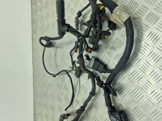 проводка двигателя Fiat Doblo 1 поколение [рестайлинг] 2012, 1.4 л., i, бензин, МКПП, передний привод, 0052286690, 52286690