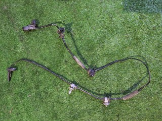 датчик ABS Tesla 2022, электро, белый, полный привод, 118876100A