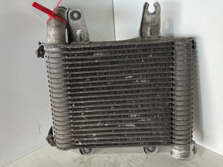 интеркулер Kia Carnival UP/GQ [рестайлинг] 2001, 2.9 л., CRDi, дизель, 5МКПП, cеребро, минивэн