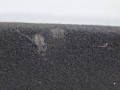 пол багажника Zeekr 001 1 поколение 2024, 6608082653BA0 - фото №7