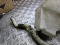 бачок омывателя Volkswagen Transporter T5 2006, 7H0955453G - фото №6
