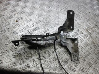 петля капота Citroen C4 1 поколение 2008, 1.4 л., бензин, МКПП, хетчбэк 5 дв.