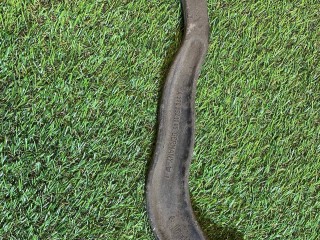 рычаг задний левый Mercedes-Benz S-Класс W222 [рестайлинг] 2018, 2.9 л., OM 656.929, дизель, АКПП, седан, задний привод, правый руль, A2203521005