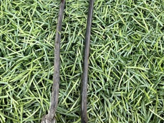 трубка тормозная Maserati Quattroporte 6 поколение [рестайлинг] 2019, 3.0 л., бензин, АКПП, чёрный, седан, задний привод