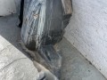 защита арок передняя левая (подкрылок) Volkswagen Tiguan 1 поколение [рестайлинг] 2013, 1.4 л., CTHA, бензин, АКПП, внедорожник 5 дв., передний привод, 5N0805911D - фото №5