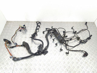 проводка двигателя BMW X5 E53 [рестайлинг] 2005, 3.0 л., TD, дизель, АКПП, полный привод, 7790770, 7796818, 12517796818