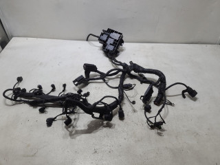 проводка двигателя Hyundai Santa Fe 2 поколение (CM) 2008, 2.2 л., D4EB, дизель, АКПП, серый, внедорожник 5 дв.