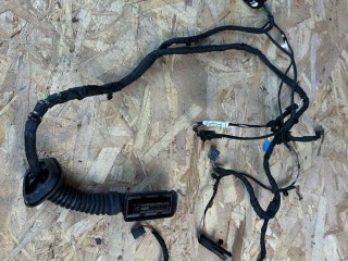 проводка двери задней BMW 4 серия F32/F33 [рестайлинг] 2019, 2.0 л., B47 D20 A, дизель, АКПП, синий, лифтбэк, полный привод, правый руль, 61129325917