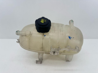 бачок расширительный Renault 2021, 2.0 л., дизель, 6МКПП, микроавтобус, 217105057R