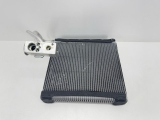 испаритель кондиционера Renault 2021, 2.0 л., дизель, 6МКПП, микроавтобус, T1033442F, 524010901521