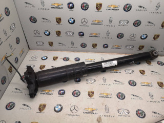 амортизатор задний Alfa Romeo Stelvio 1 поколение 2019, 2.9 л., бензин, полный привод, 50553943